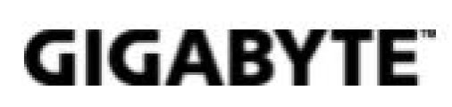 Gigabyte